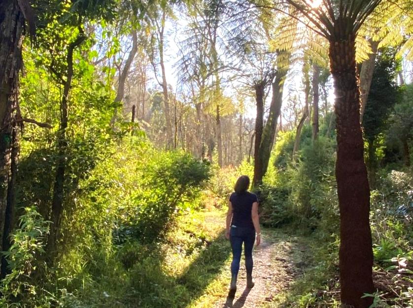 Fairy Dell: Exploring the enchanting Fairy Dell.