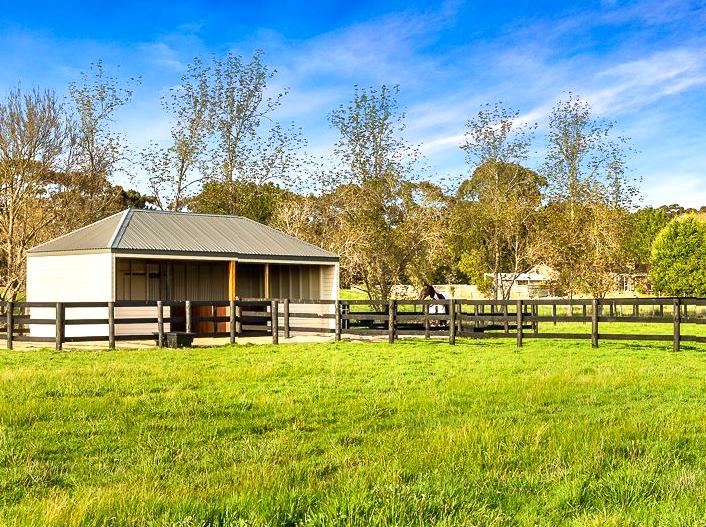 Mount Hay Road: Scenic drives and hiking trails along Mount Hay Road.