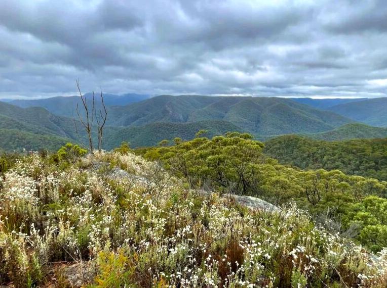 Wild Dog Mountains: Adventure hiking in the Wild Dog Mountains.