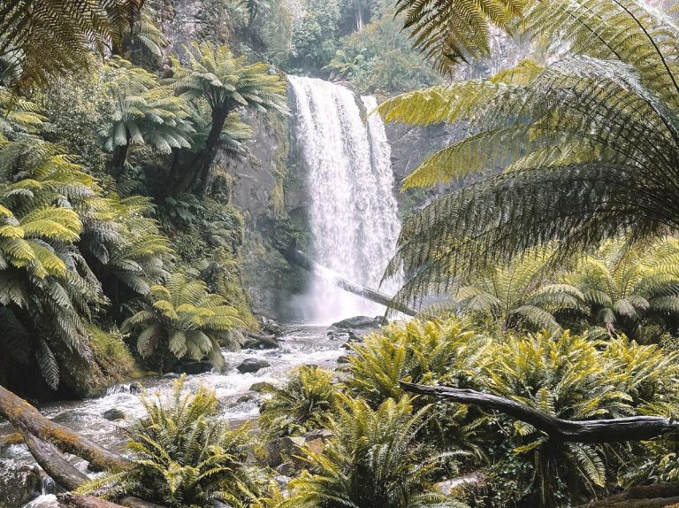 Johanna Falls: Scenic Waterfall in the Otways