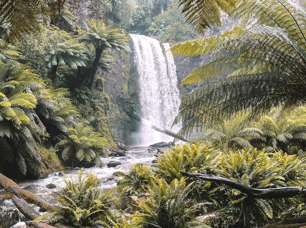 Johanna Falls: Scenic Waterfall in the Otways