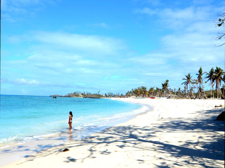 A’Maze’N View: Panoramic Views and Family Fun