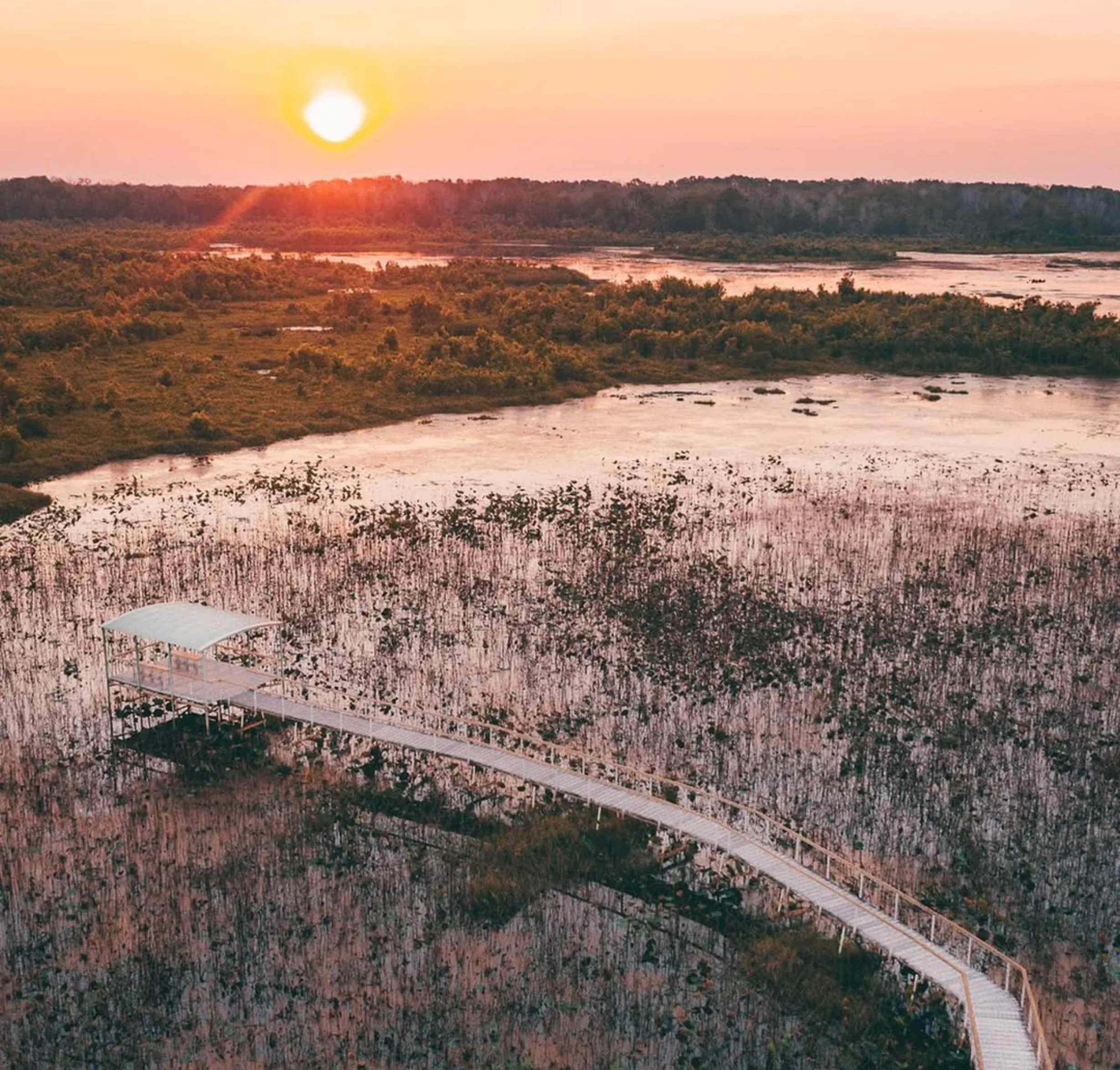 floodplain habitats, Fogg Dam