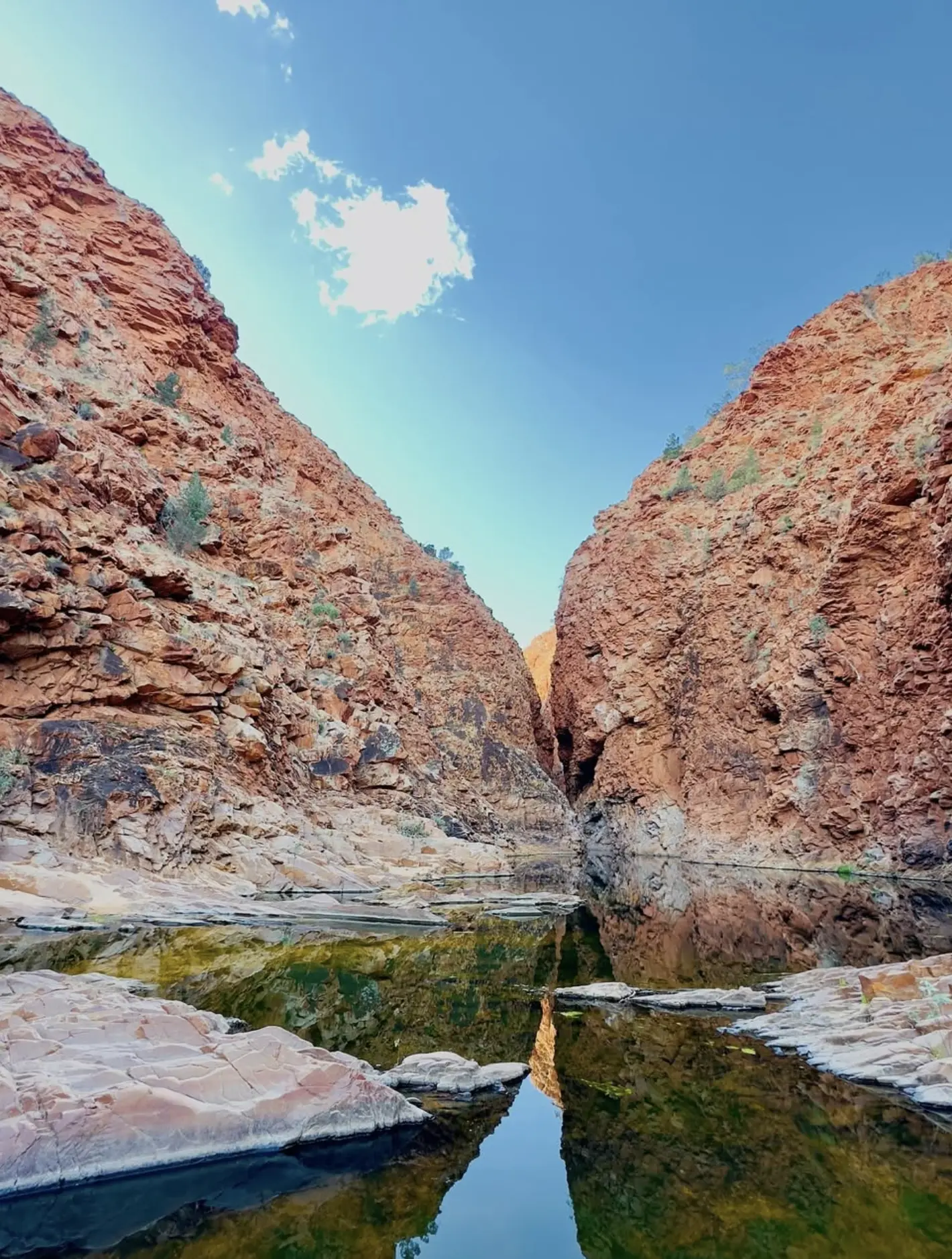 Larapinta Trail Gorges