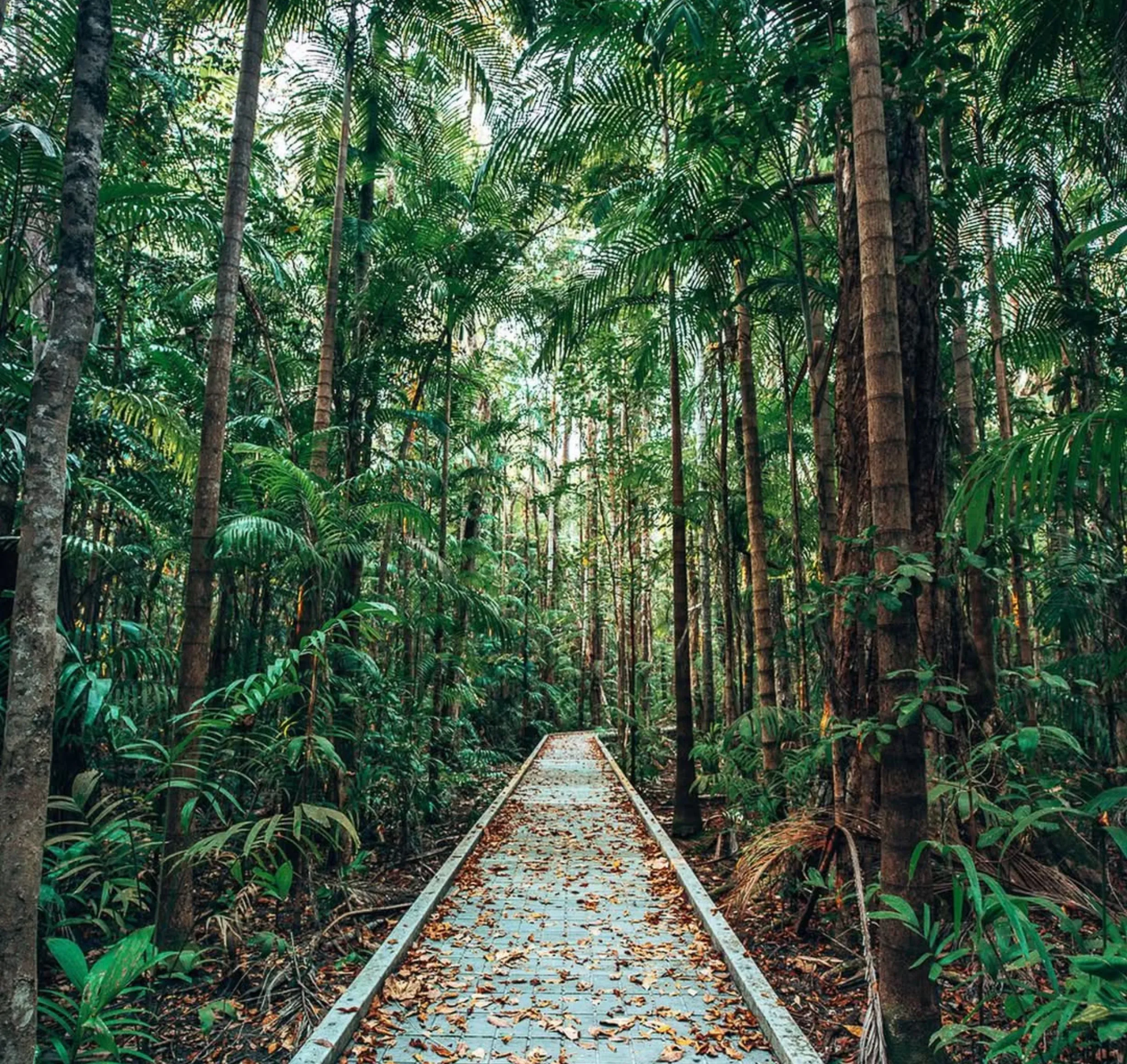 walking trails, Fogg Dam