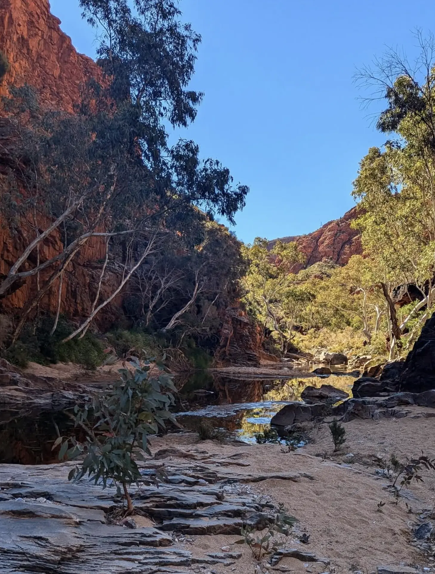 What is the best section of the Larapinta Trail?