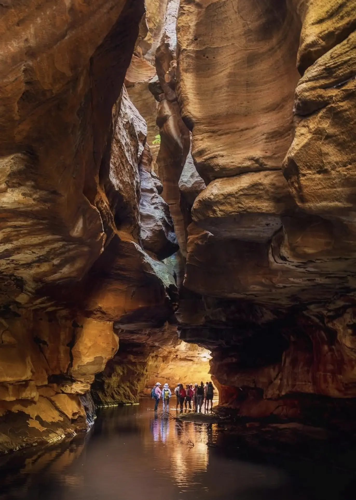 blue mountains and jenolan caves tour