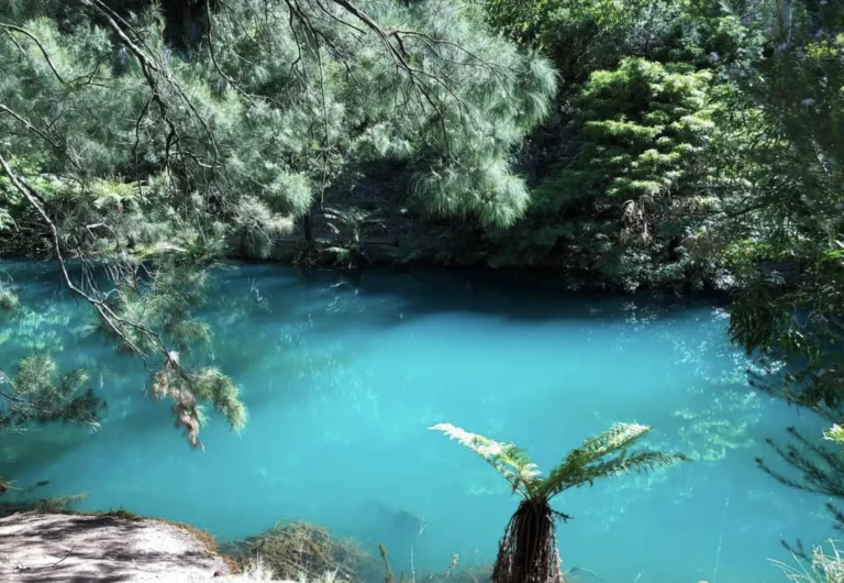 What Ancient Caves Are In The Region Of The Blue Mountains?