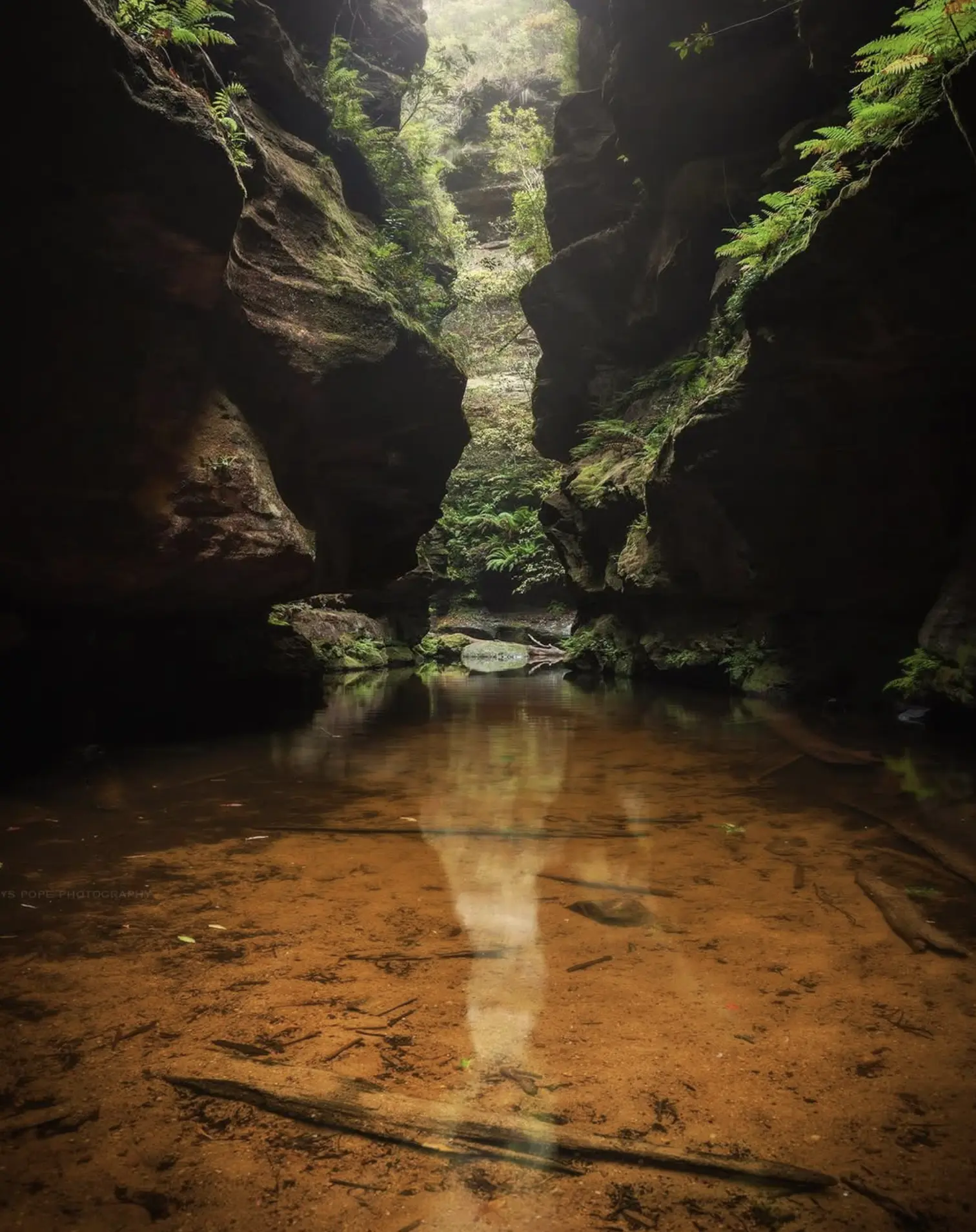 glow worm caves blue mountains