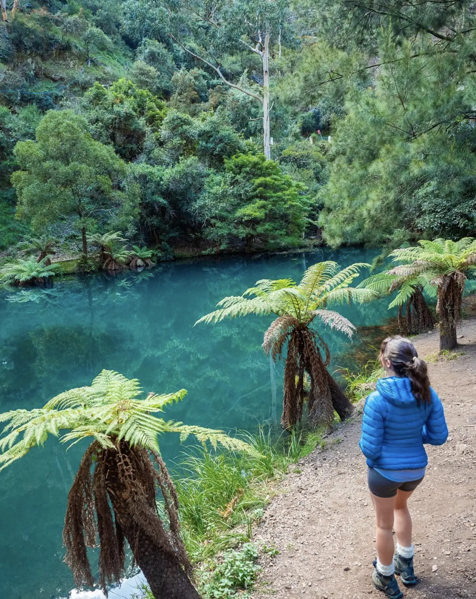 jenolan caves blue mountains